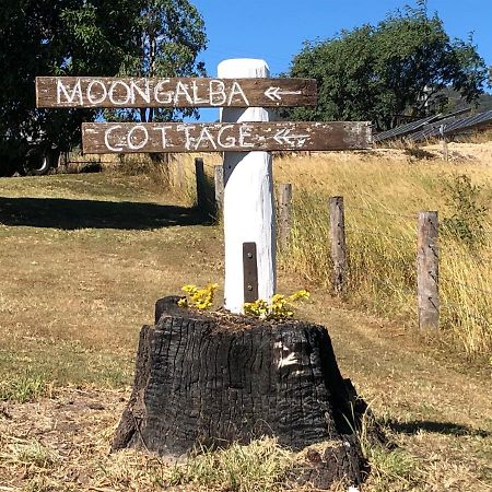 Moongalba Cottage Kerry Екстериор снимка